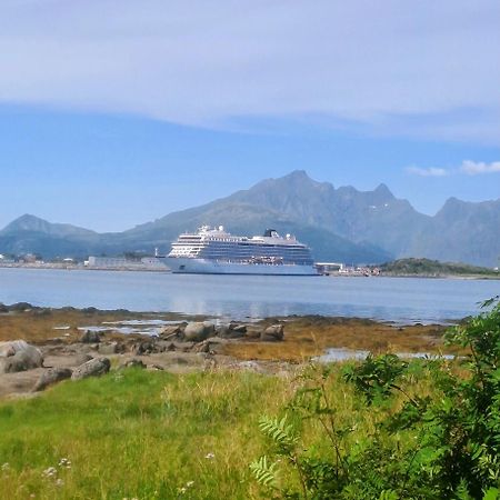 Beautiful Lofoten Well Equipped Nice Apartment Gravdal  Exterior photo