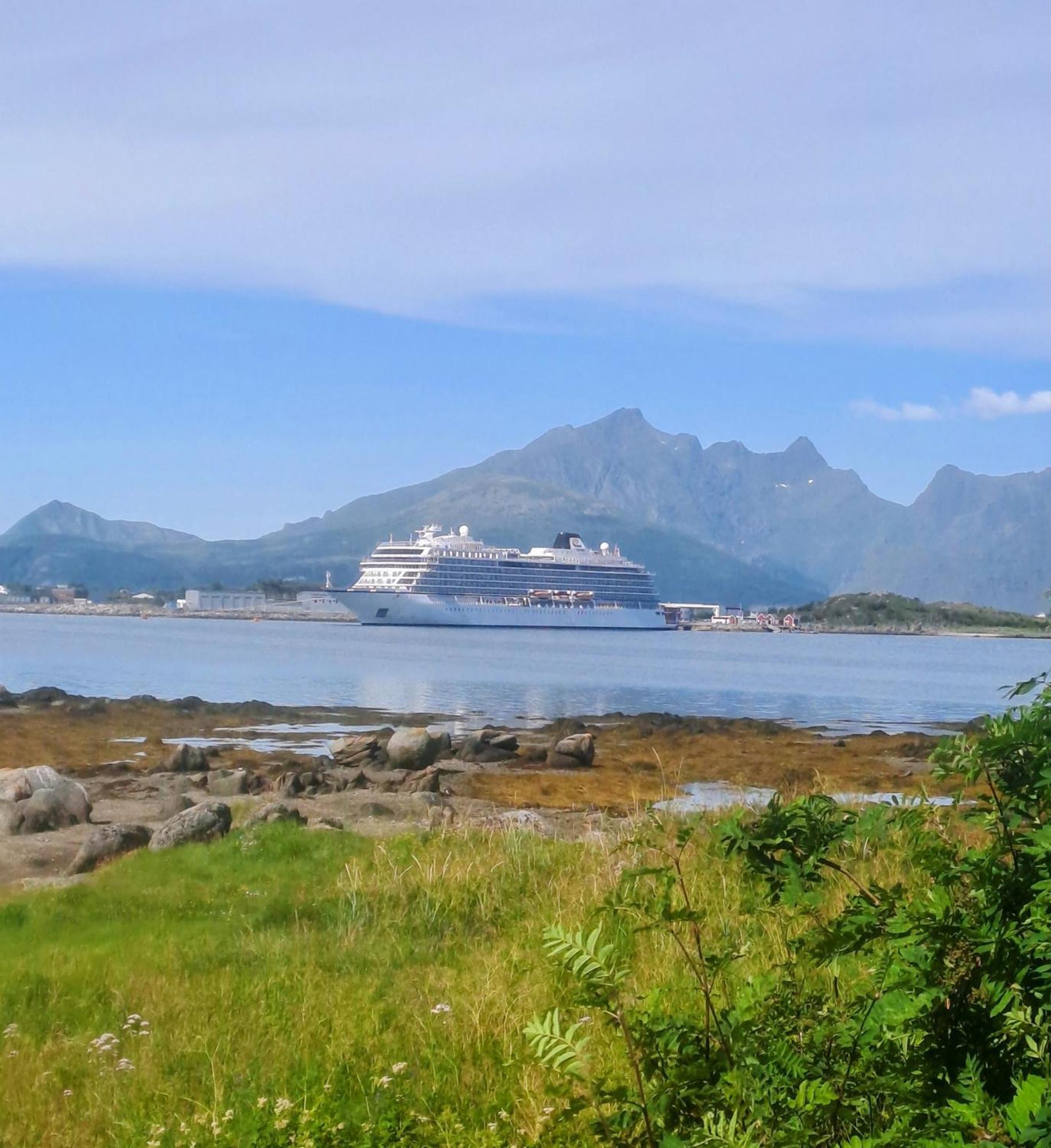 Beautiful Lofoten Well Equipped Nice Apartment Gravdal  Exterior photo